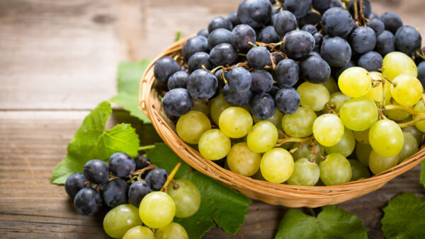 Uva: calorie, proprietà e benefici