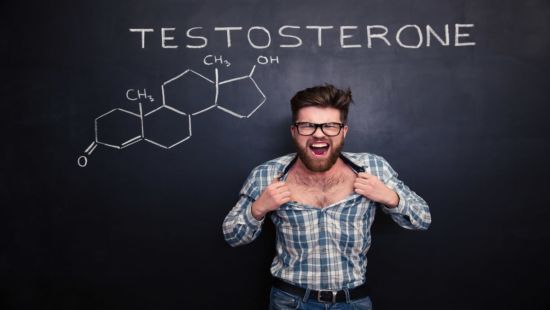Ormoni maschili: quali sono e come funzionano?