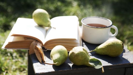 Libri sull’alimentazione: quali scegliere