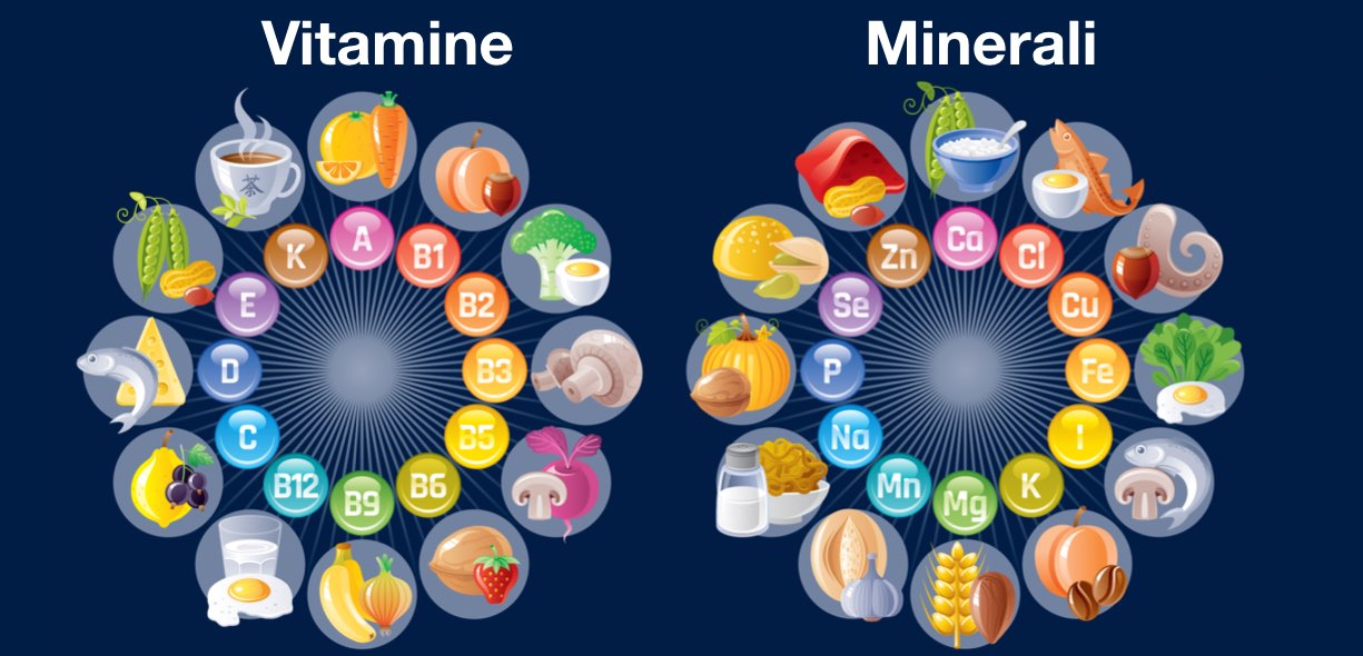 Micronutrienti