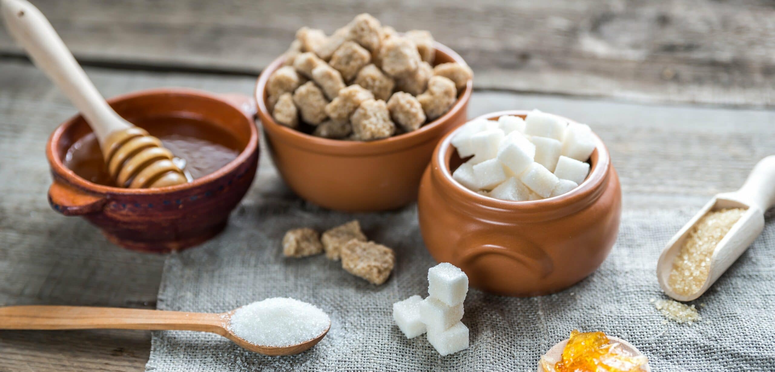 carboidrati semplici o zuccheri quali sono