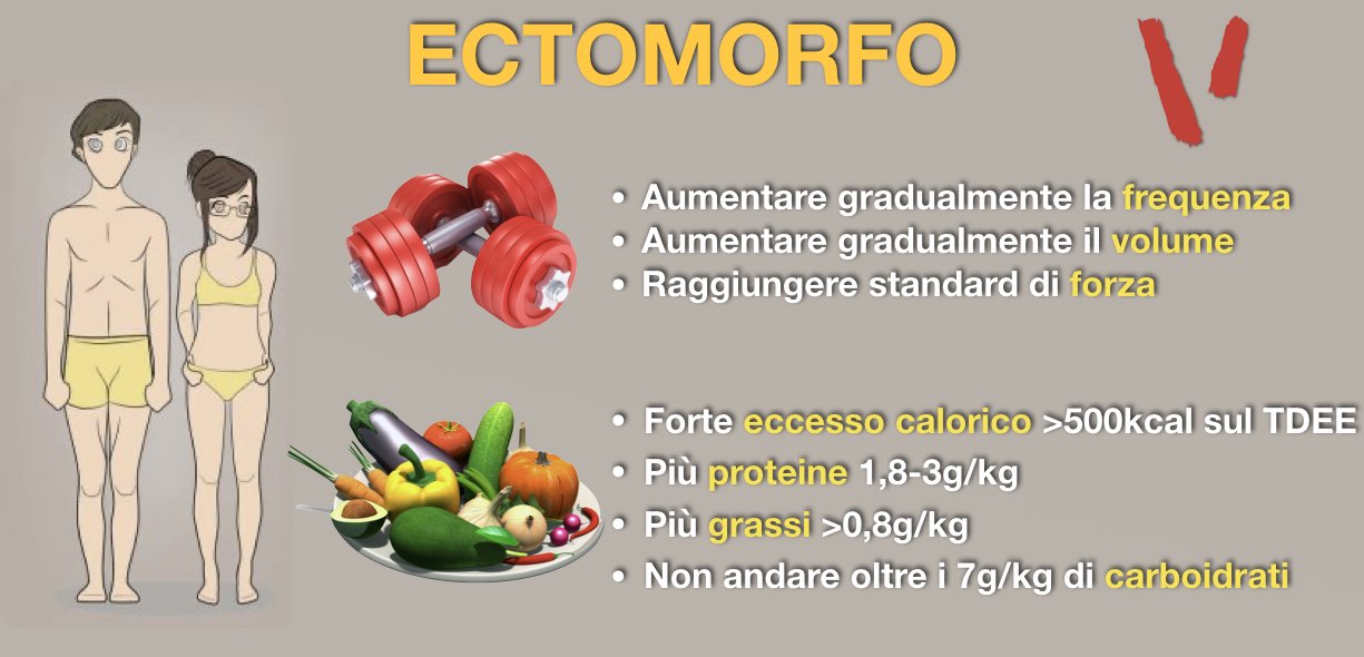 allenamento e dieta mesomorfo