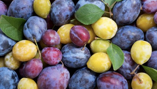Prugne: calorie, valori nutrizionali e proprietà