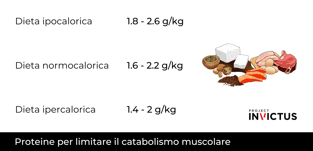 catabolismo muscolare