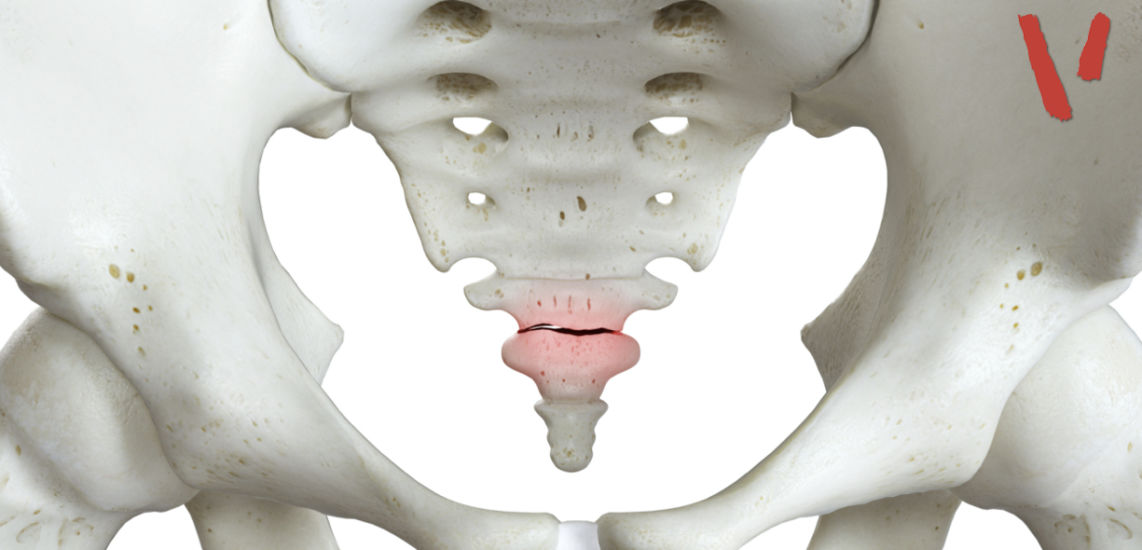 Il coccige dolore ed anatomia Project inVictus