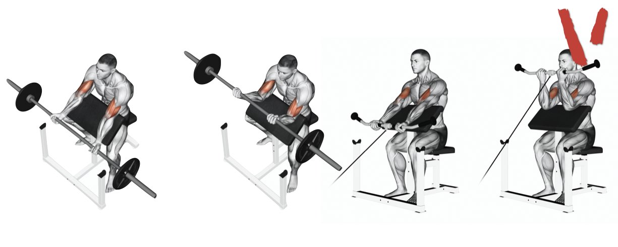 curl panca scott