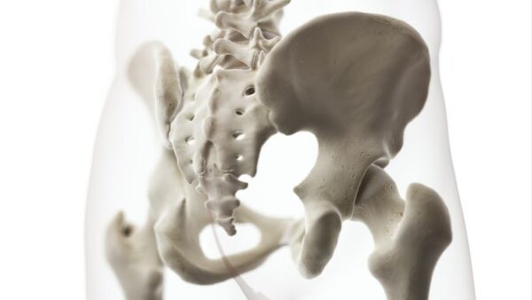 Il grande trocantere: anatomia e funzione