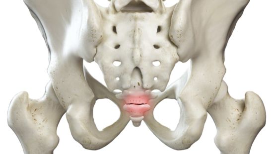 Il coccige: dolore ed anatomia