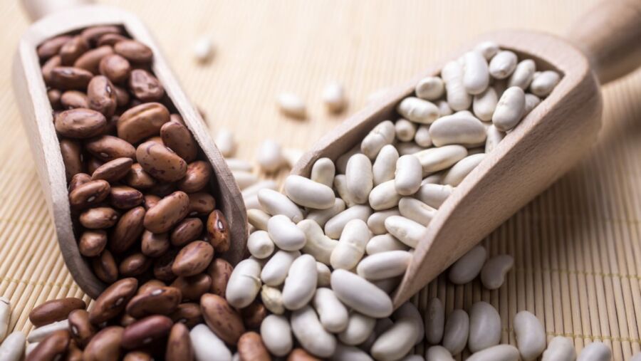 Fagioli calorie, proprietà e valori nutrizionali Project inVictus