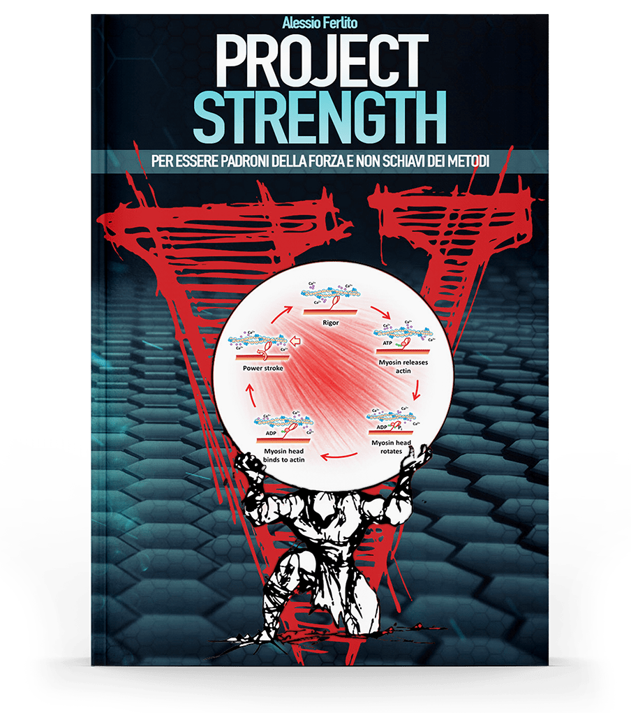 project strengths