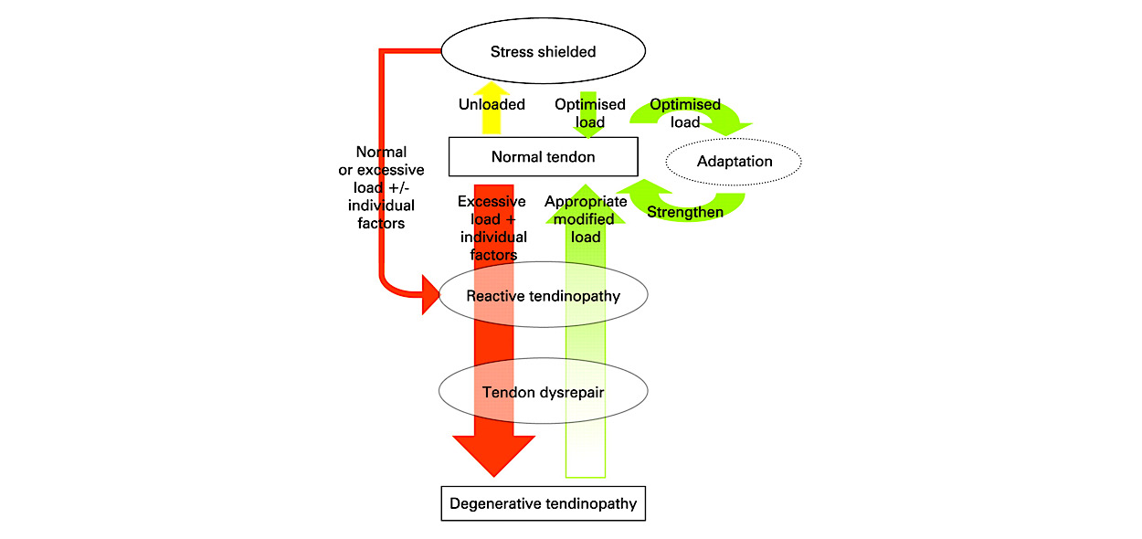 Continuum model