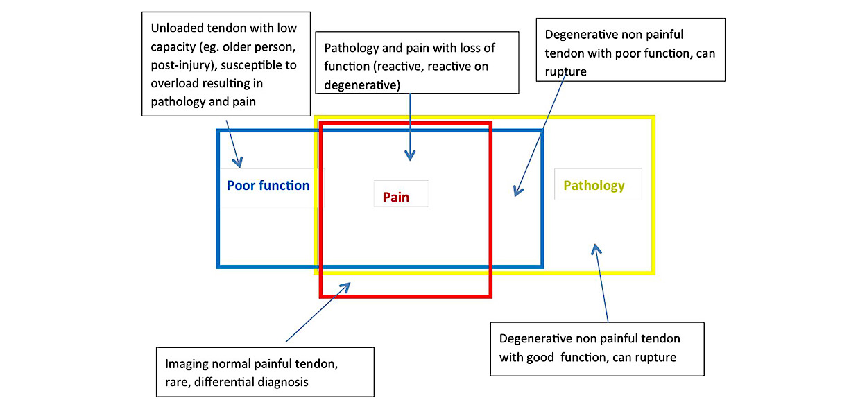 Continuum model