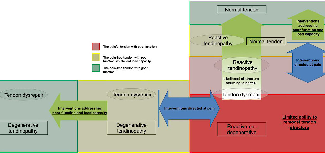 Continuum model 