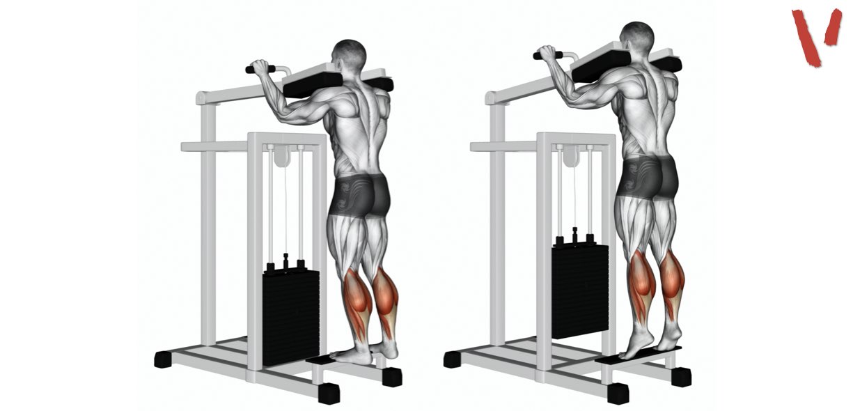 Gastrocnemio calf raises