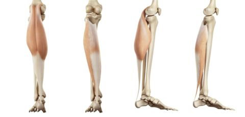Knie Protektoren K-Pact - multicolor