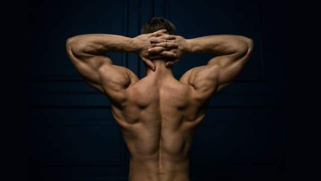 upper back palestra