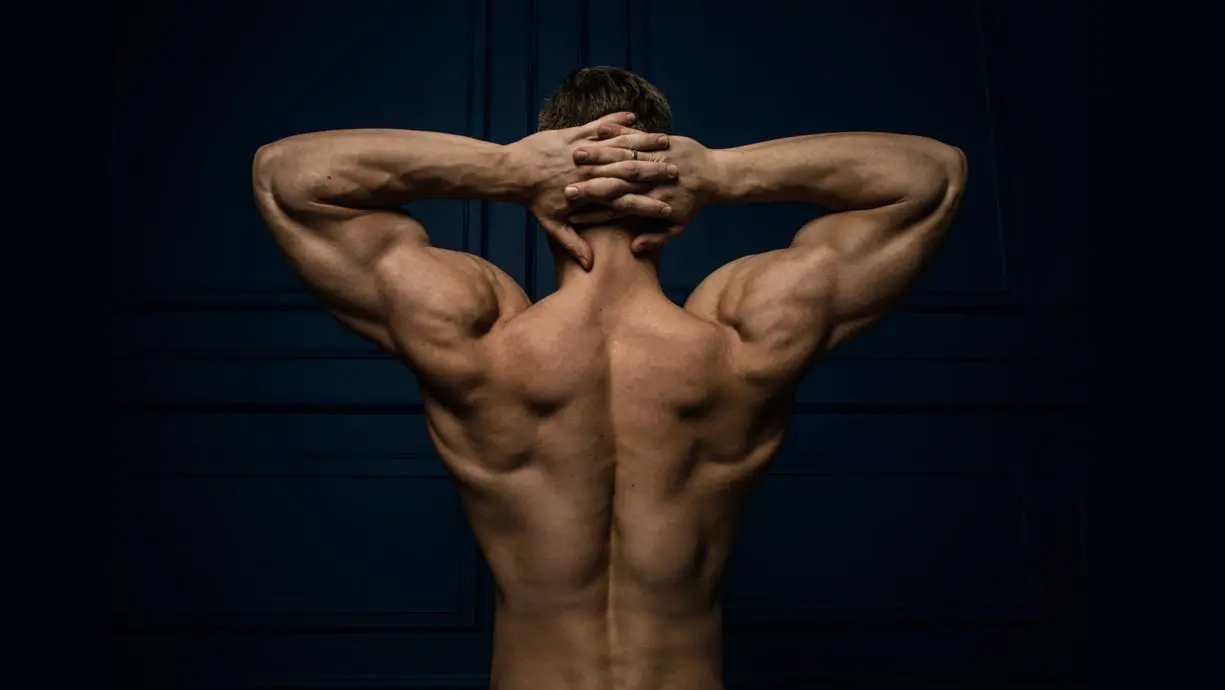 upper back palestra