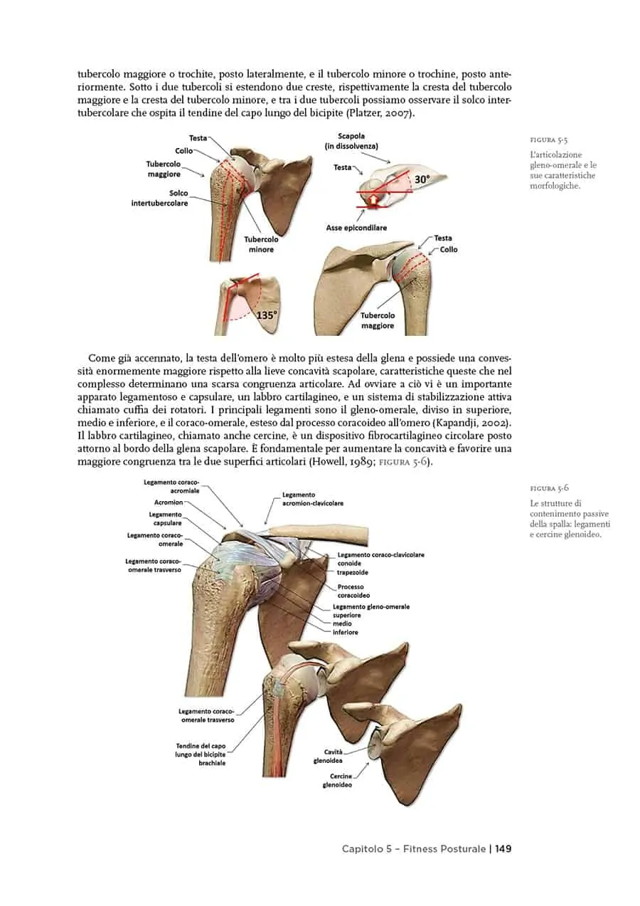 Fitness Posturale 1 pagine