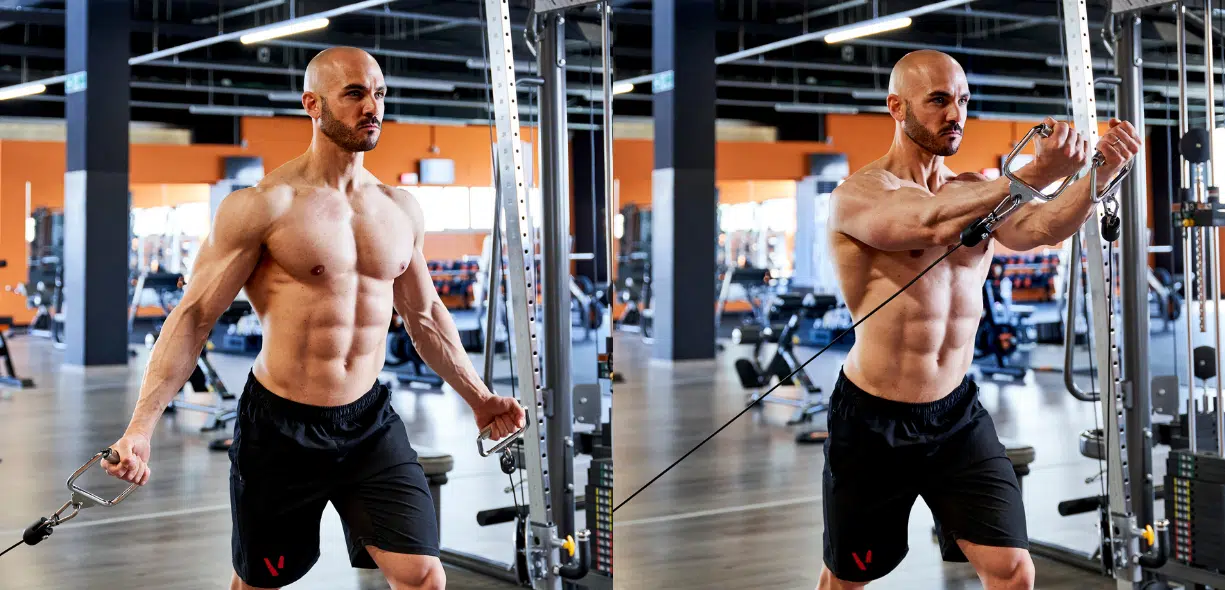 croci ai cavi bassi in palestra
