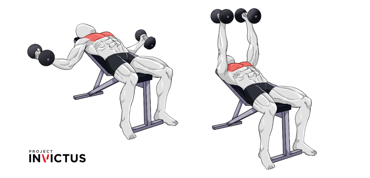 muscoli coinvolti nelle croci con manubri