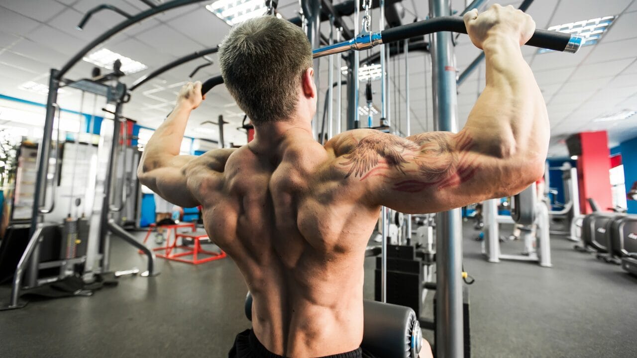 upper back allenamento in palestra e nel bodybuilding