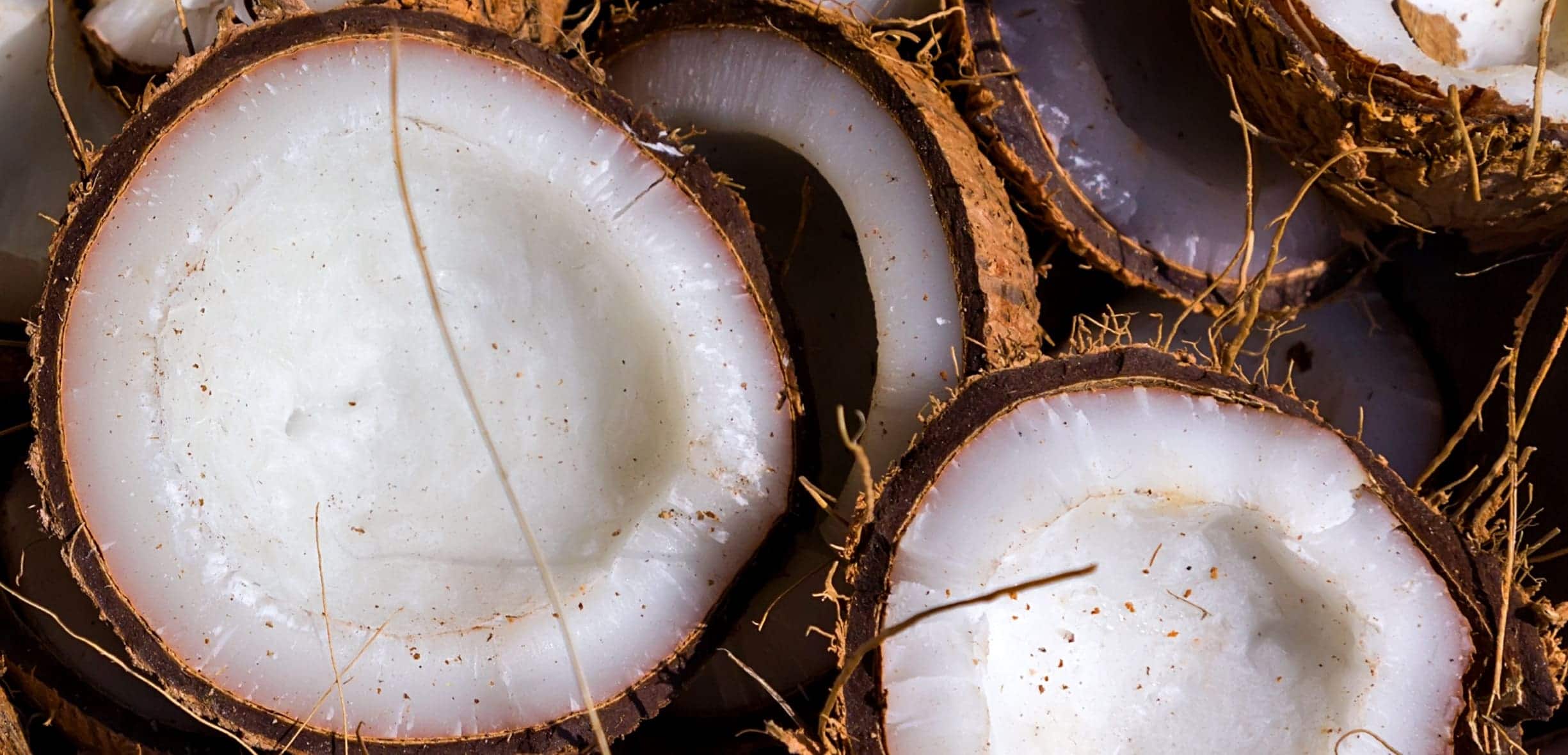 cocco proprietà, benefici e valori nutrizionali nella dieta