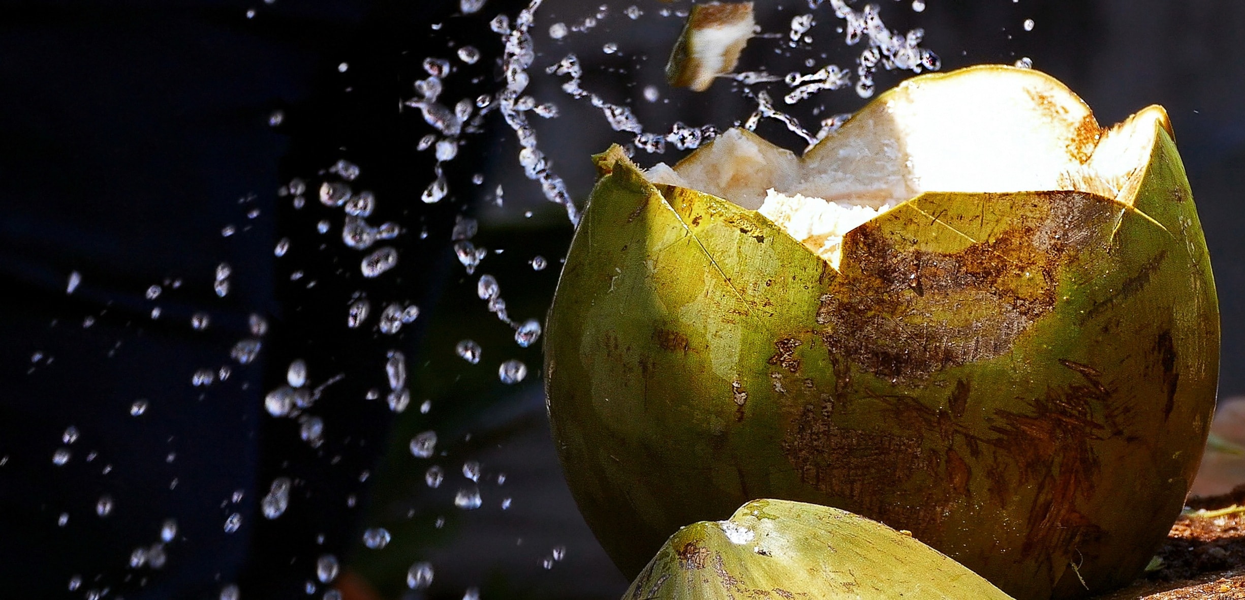 cocco proprietà, benefici e calorie