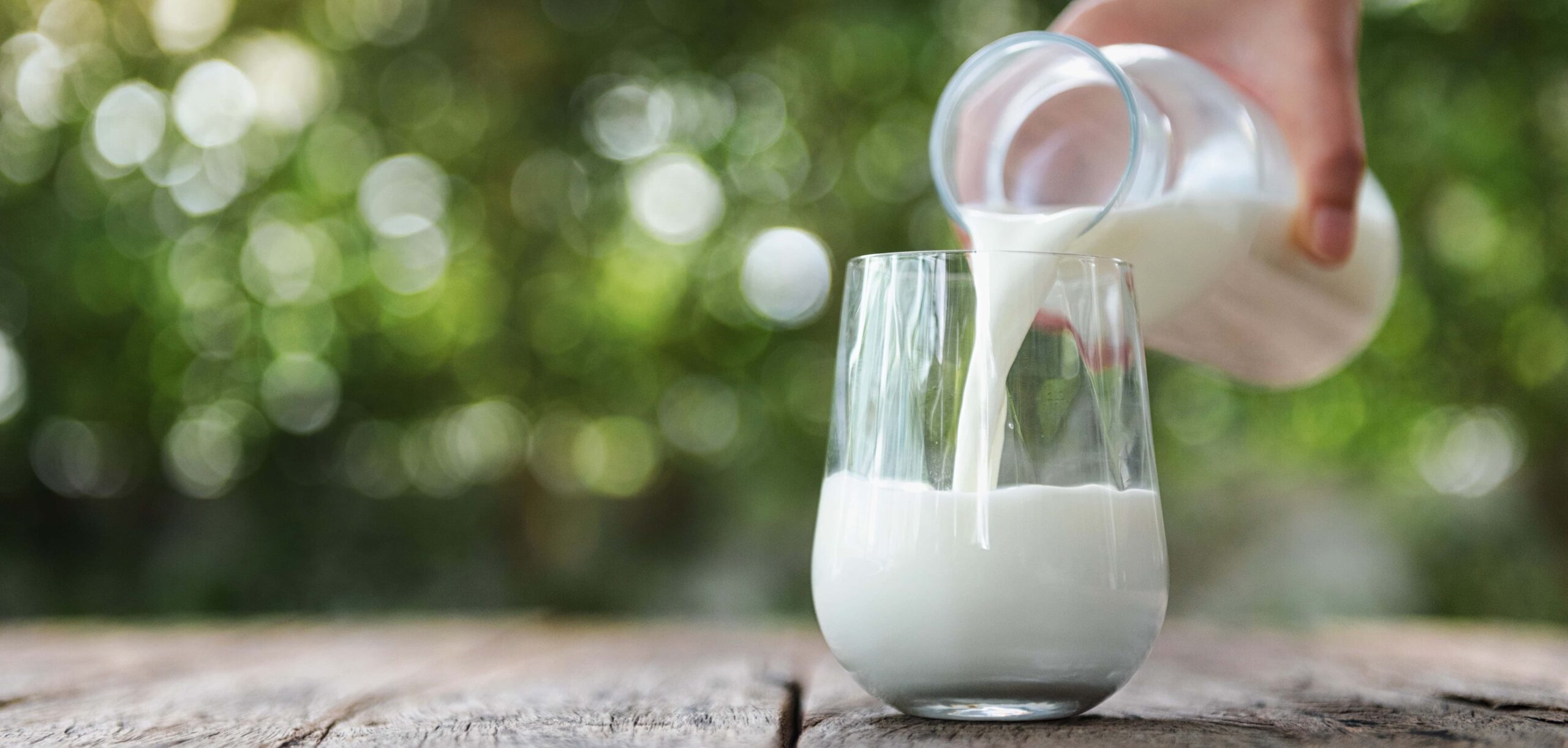 proteine del latte nella dieta quali sono
