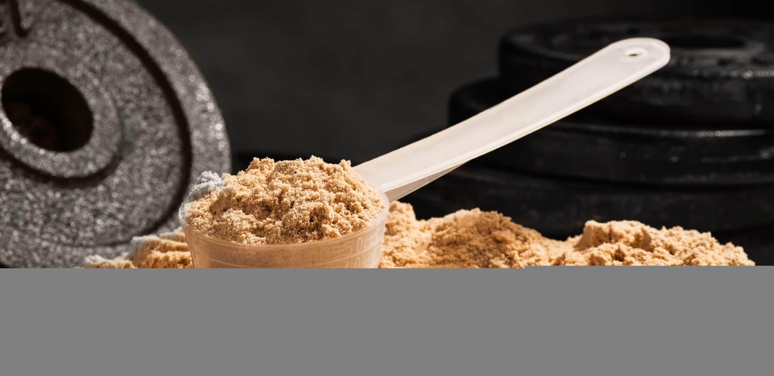 proteine siero del latte per la palestra