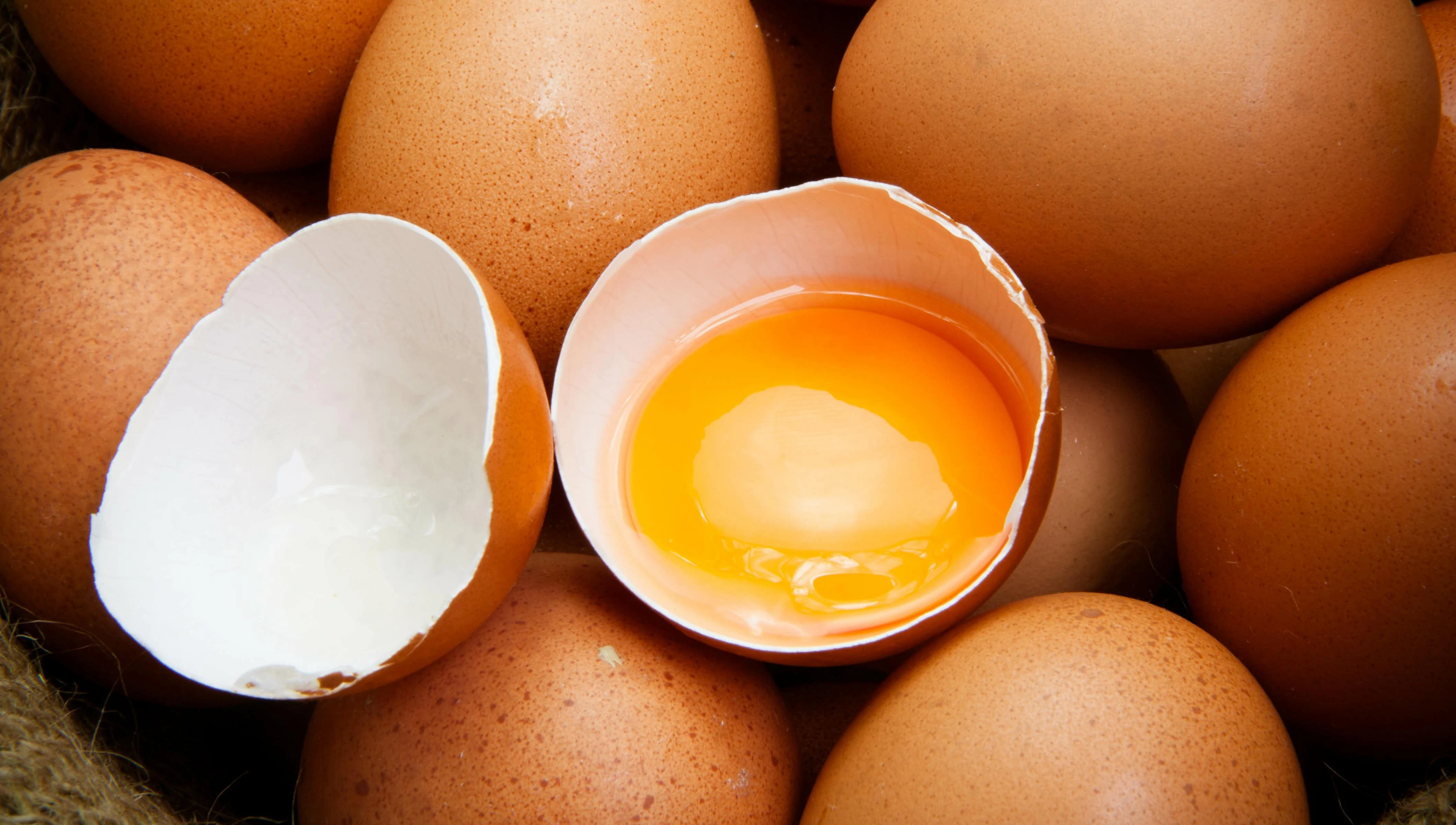 le uova fanno bene o fanno male nella dieta