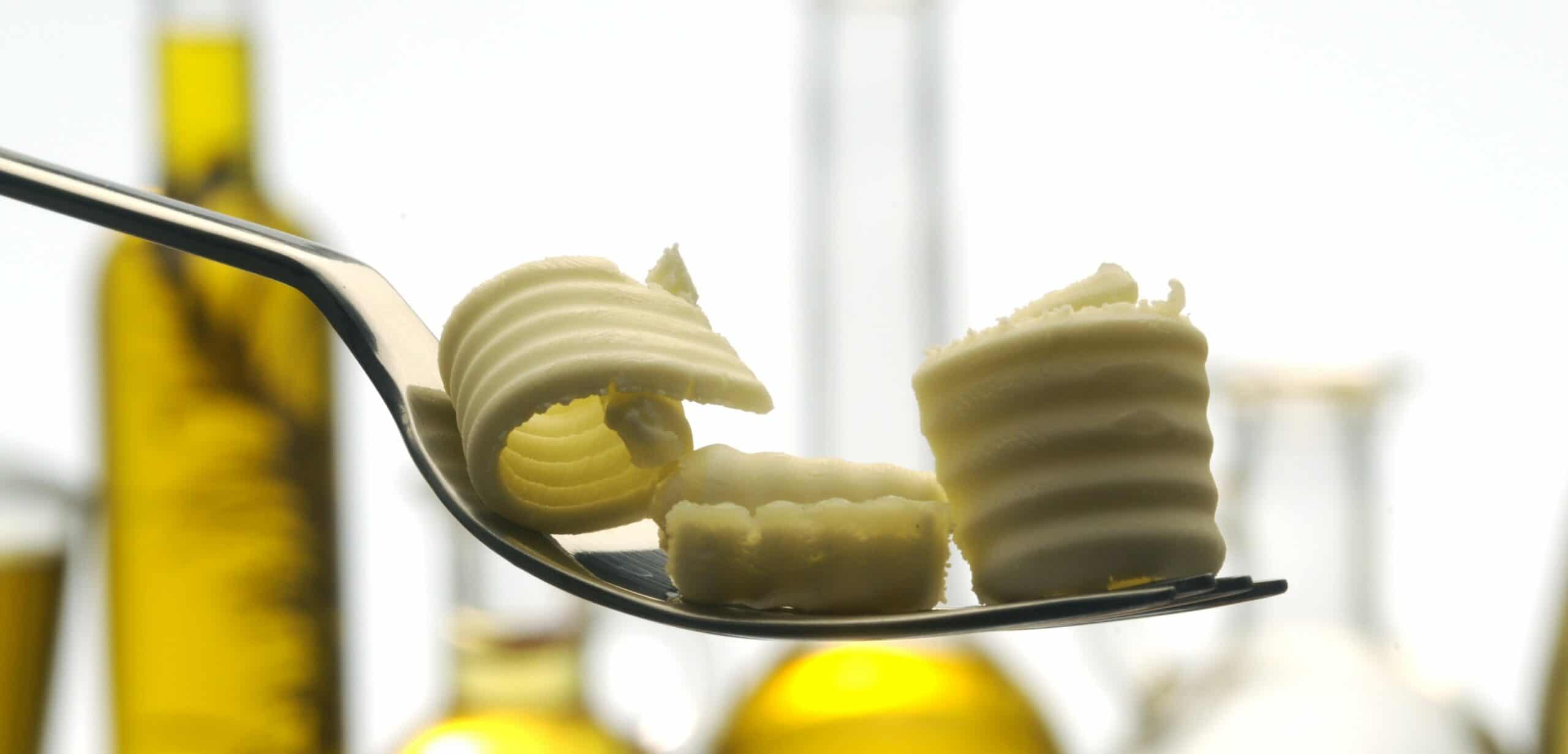 grassi vegetali nella dieta
