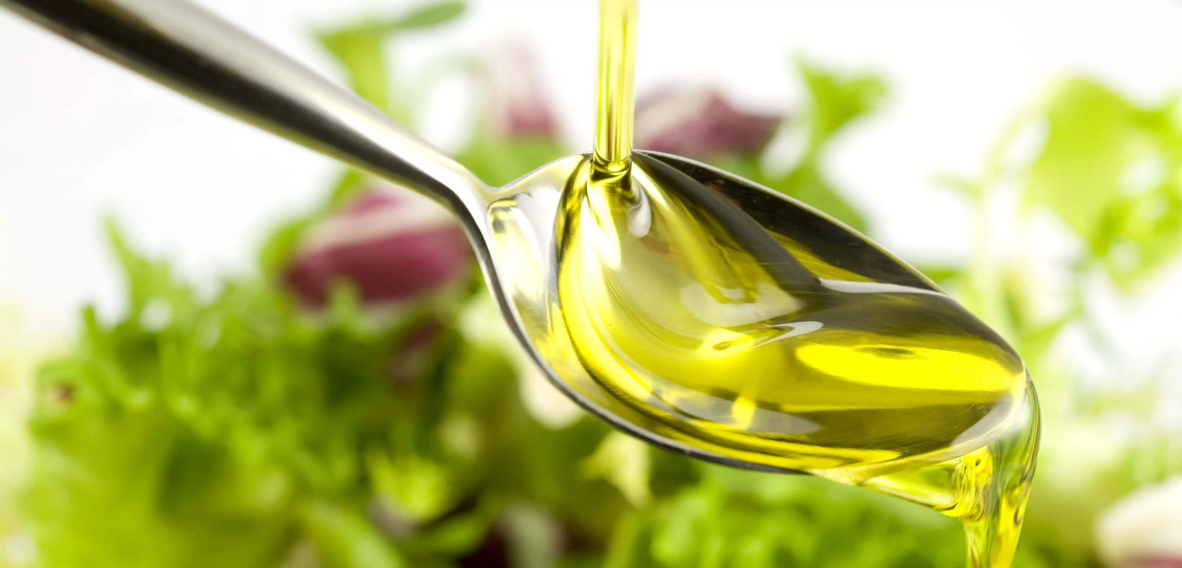 grassi vegetali e olio nella dieta
