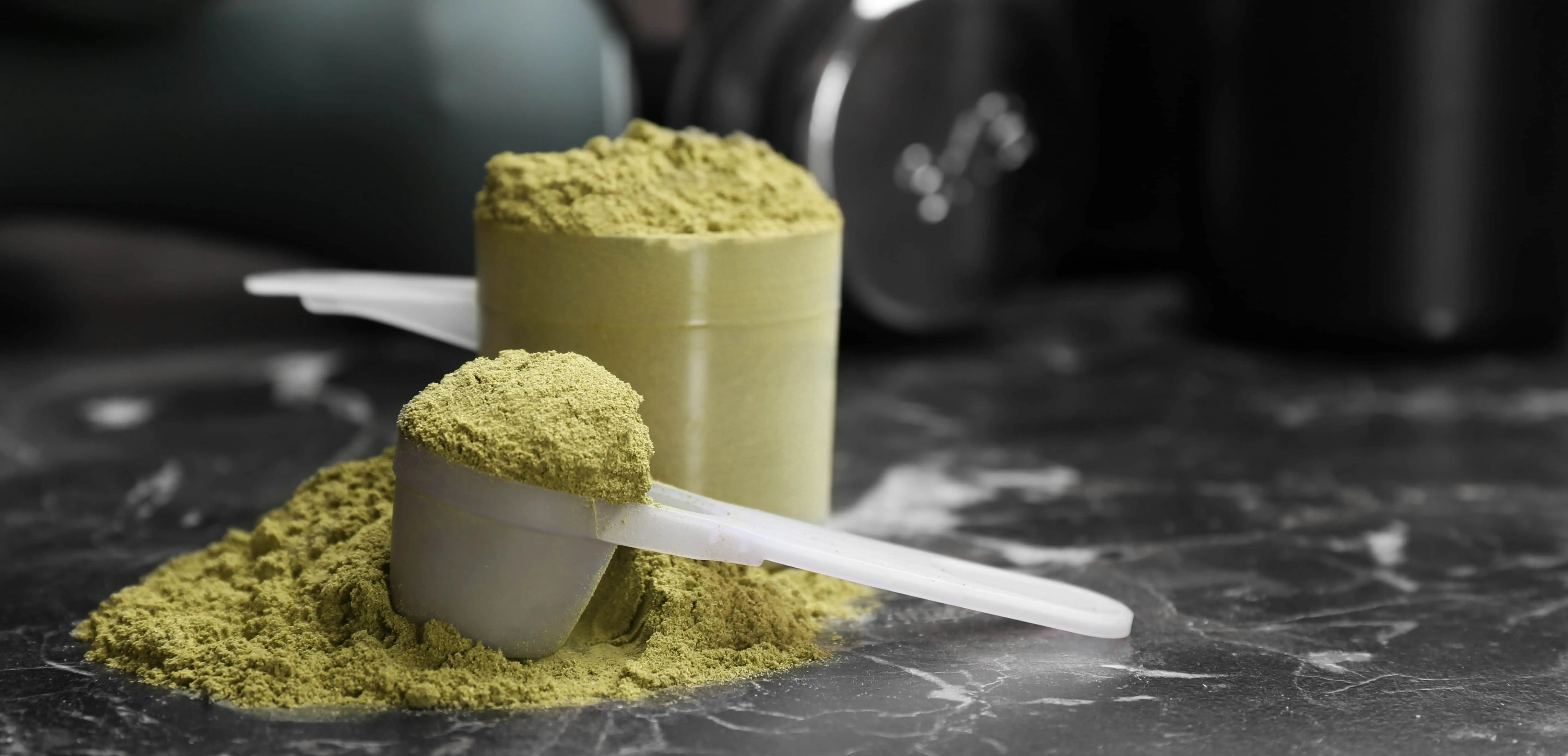 proteine vegane per la palestra e il bodybuilding