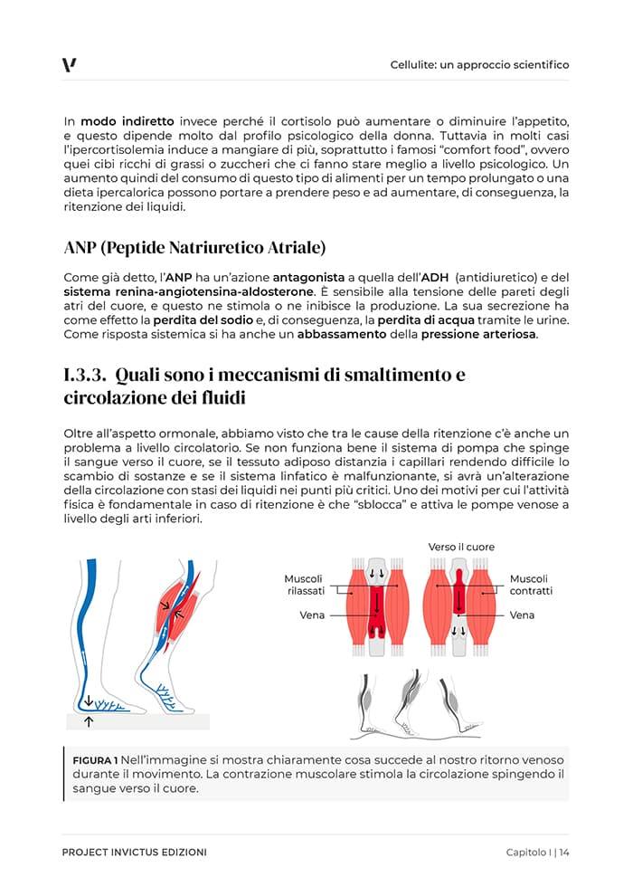 ebook cellulite pagine