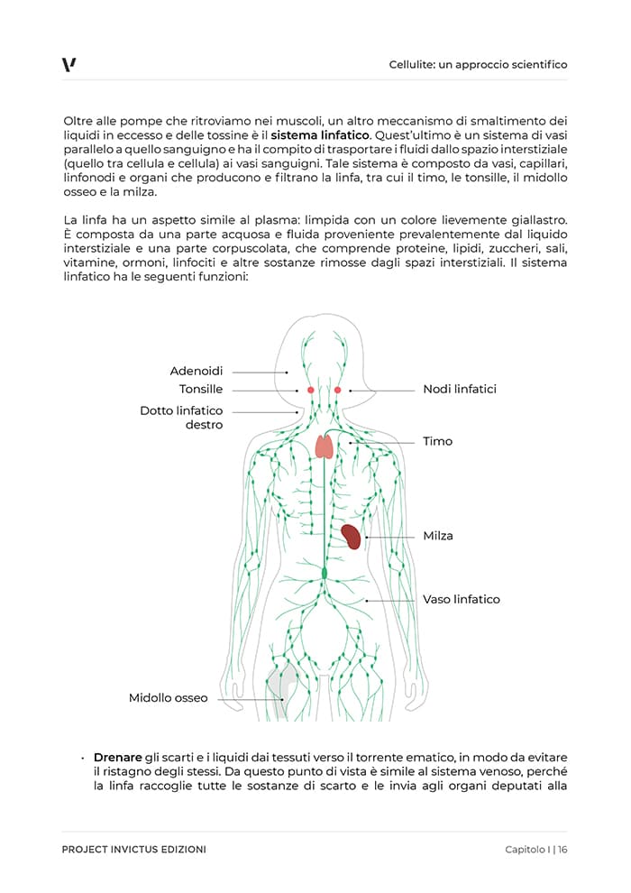 ebook cellulite pagine 3