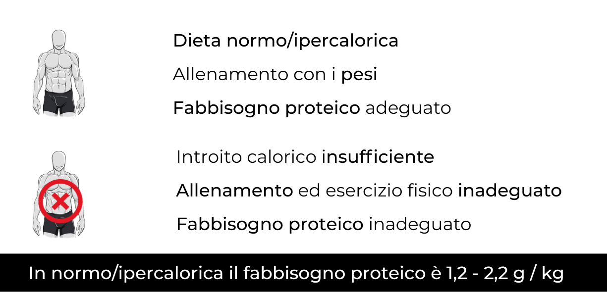 quante proteine assumere