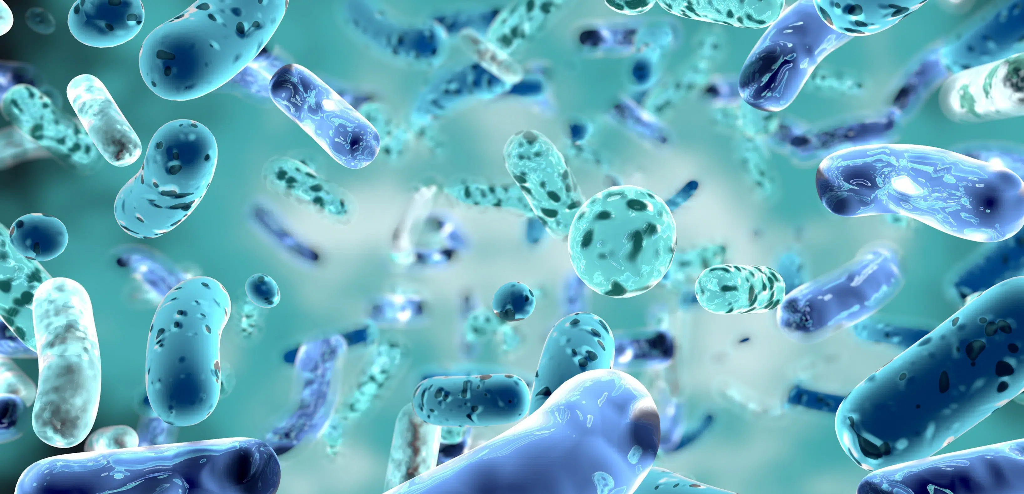 probiotici come assumerli