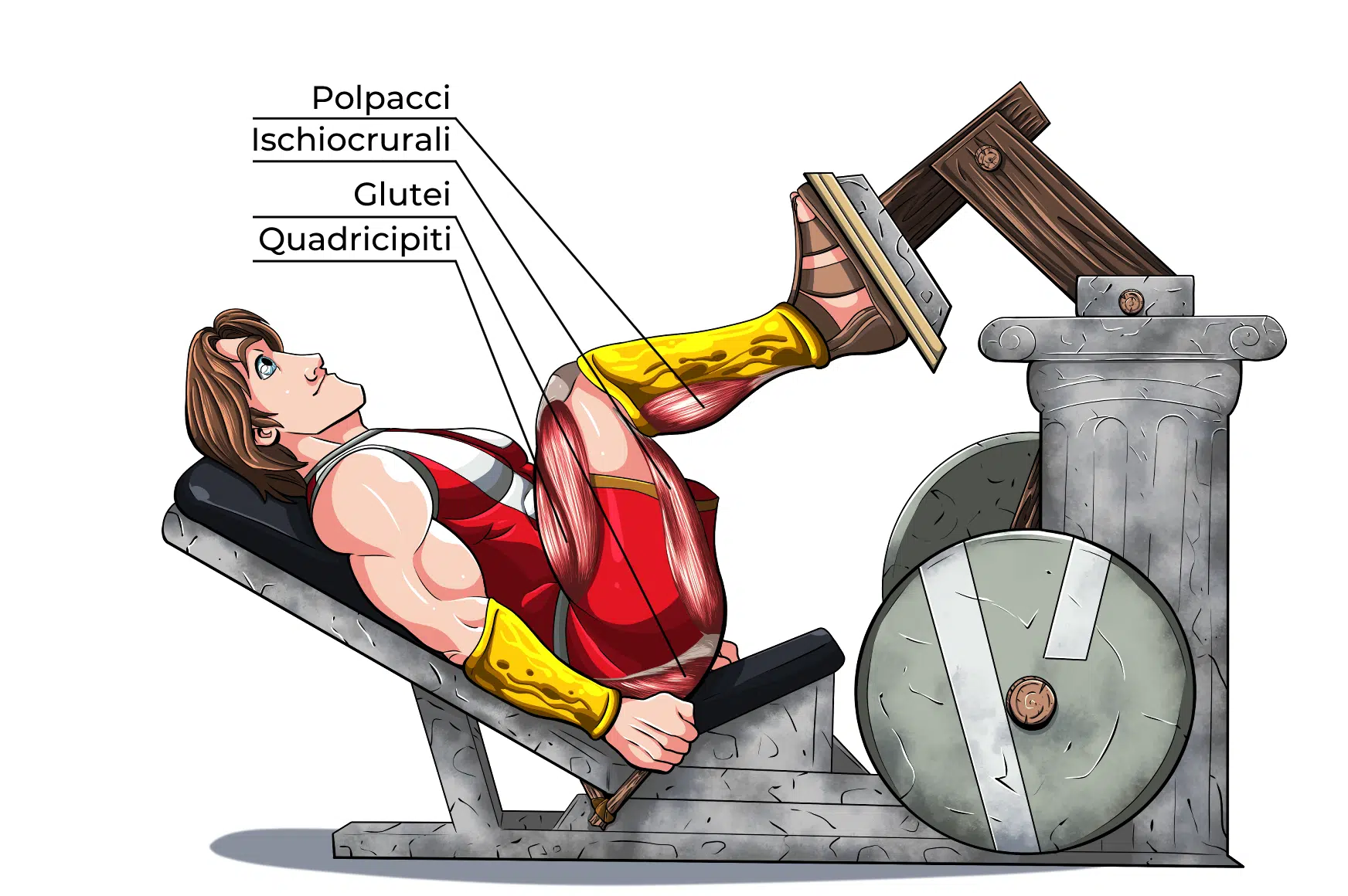 Leg Press Muscoli Coinvolti