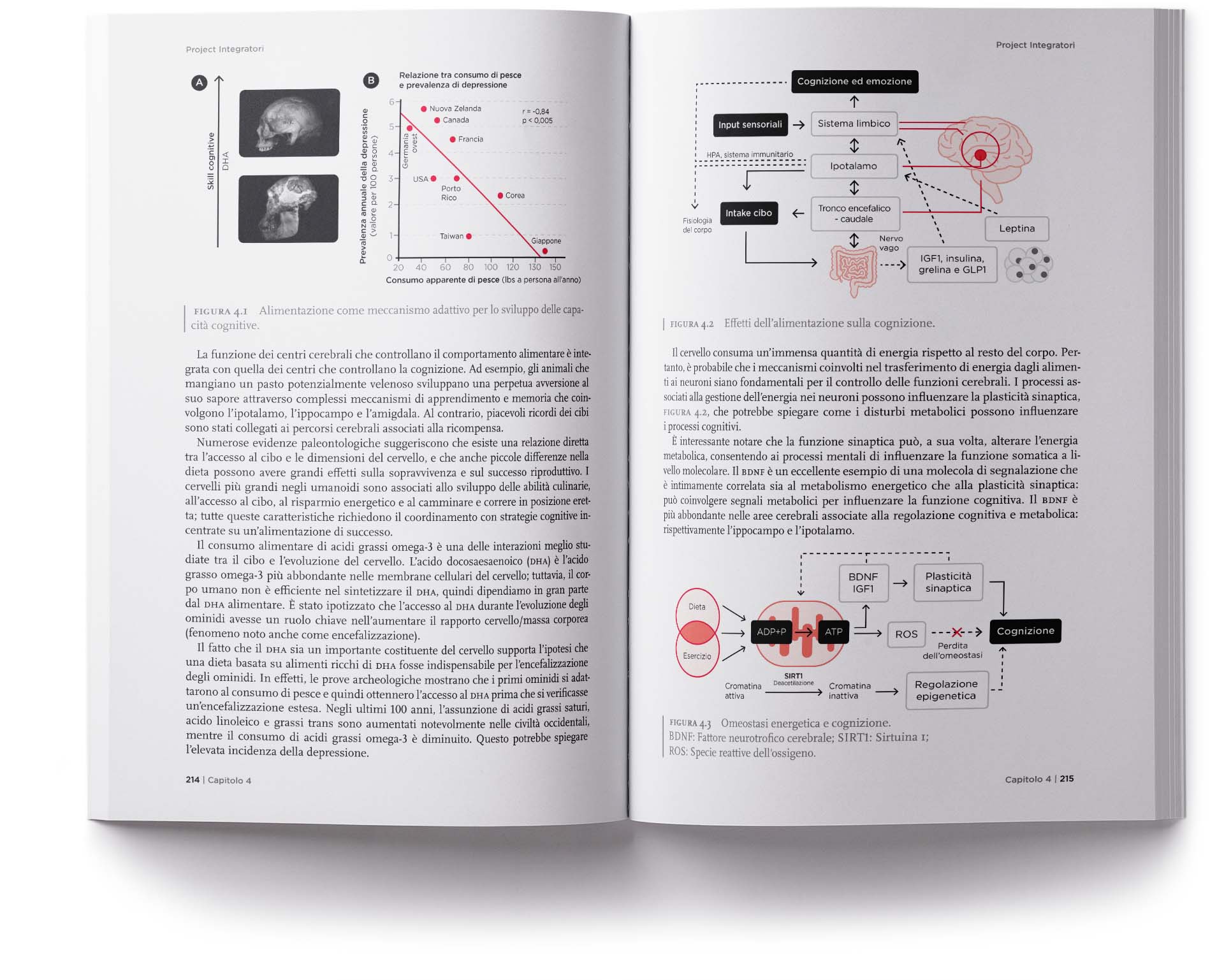 Project Integratori pagine