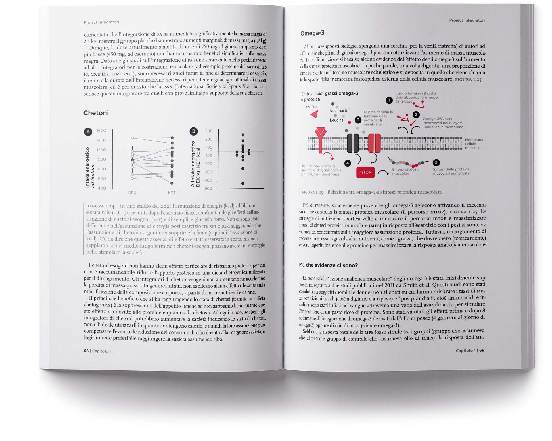 Project Integratori pagine grafici