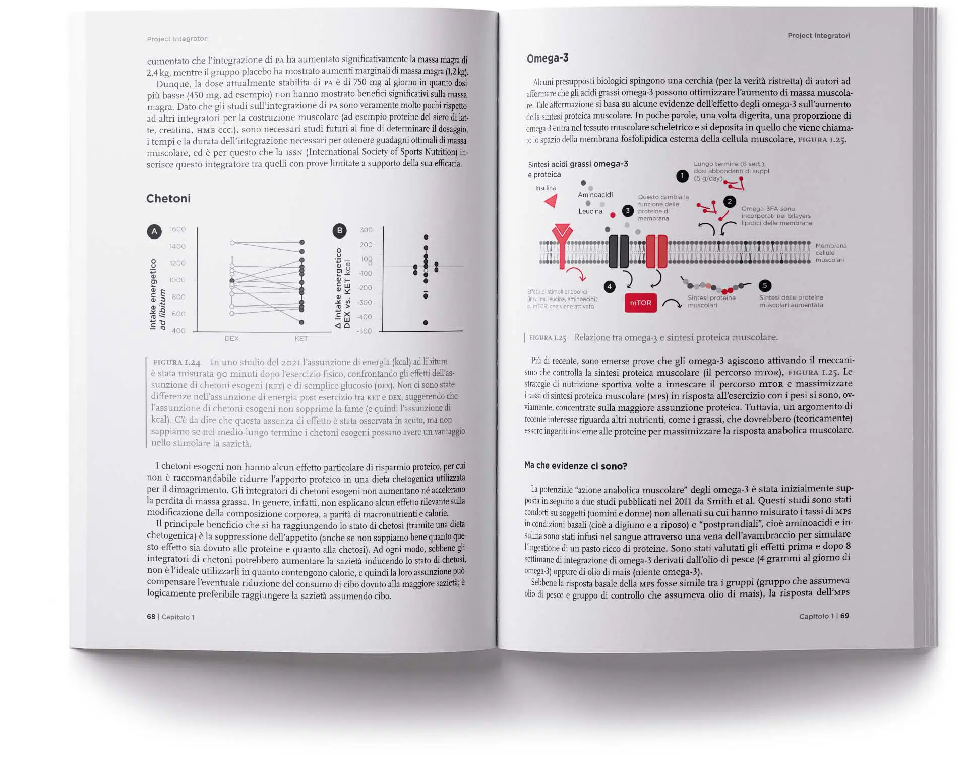 Project Integratori pagine grafici
