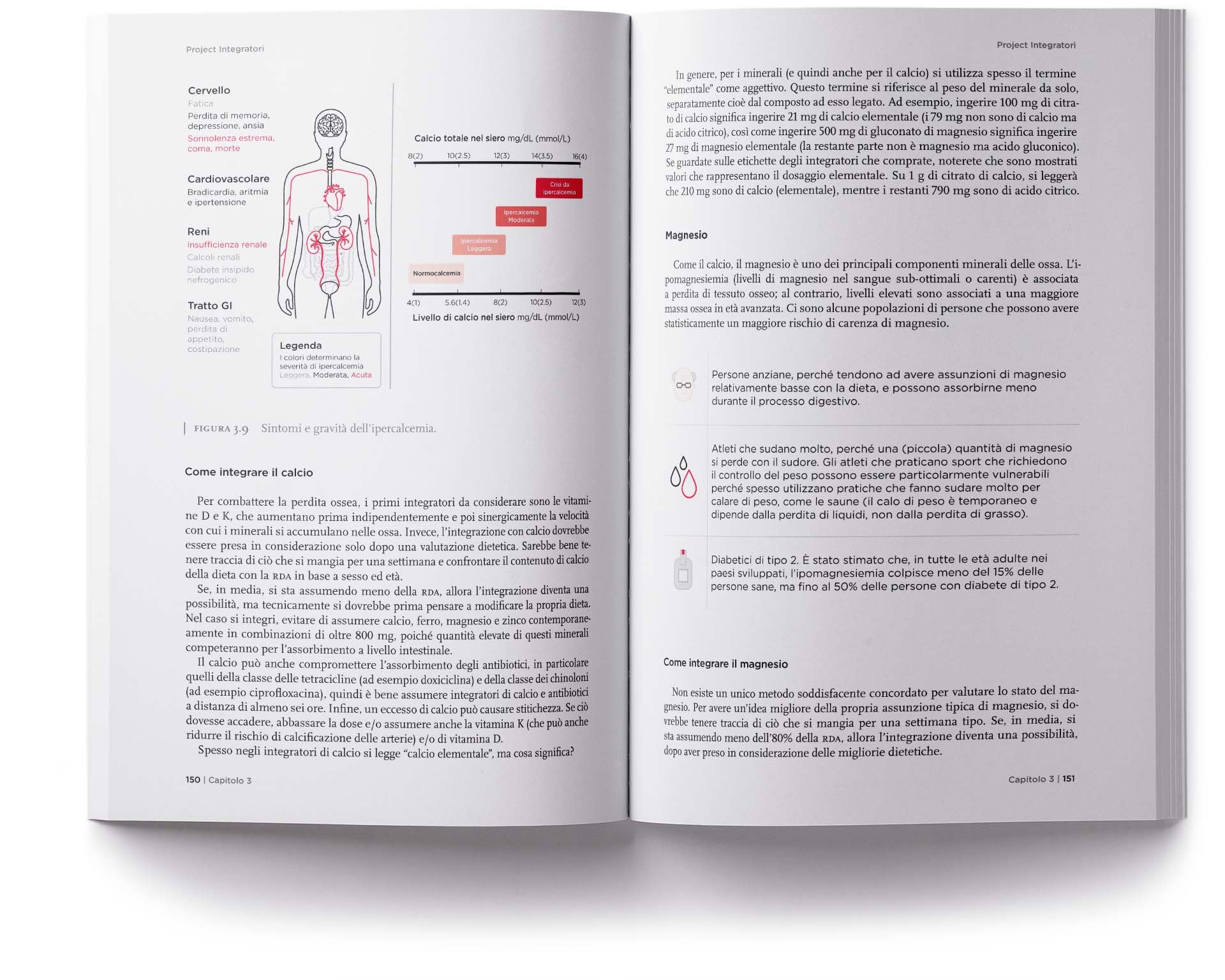 Project Integratori pagine grafici schemi