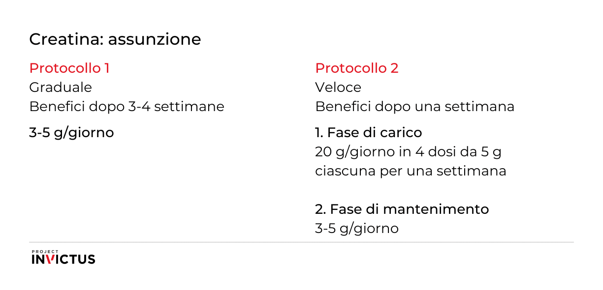 assunzione creatina e dosaggio