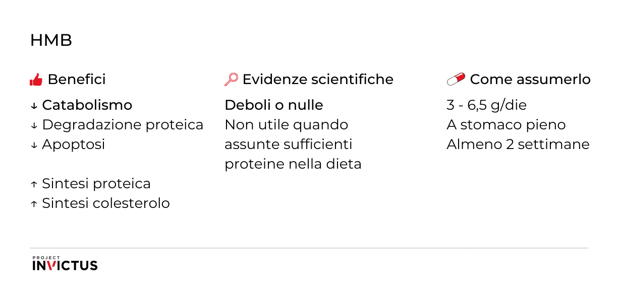 Proteine in polvere per dimagrire: come assumerle - Project inVictus