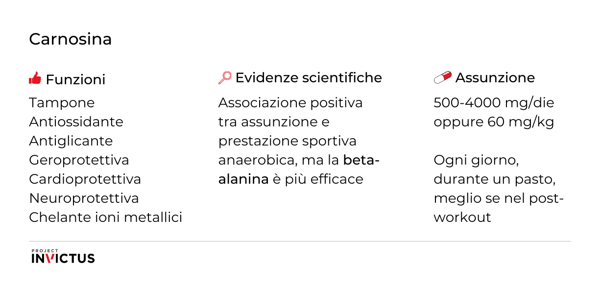 Carnosina integratore funzioni e come assumerla