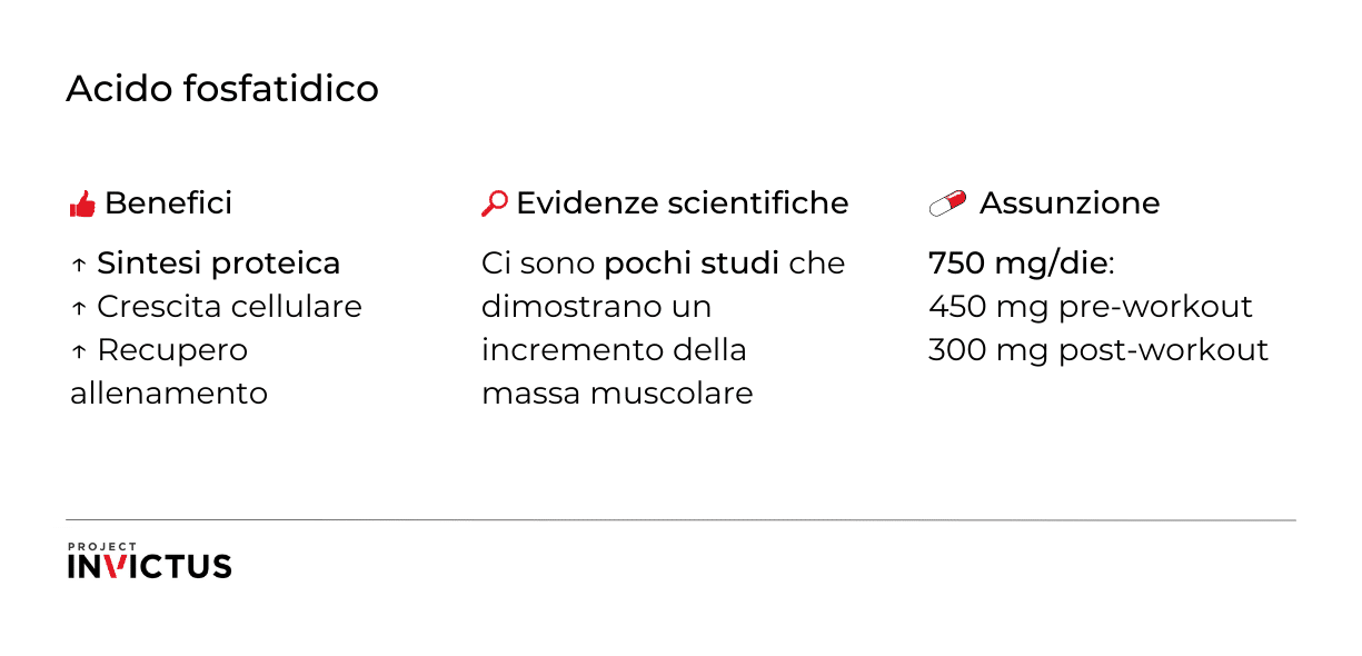 acido fosfatidico integratore per la massa muscolare