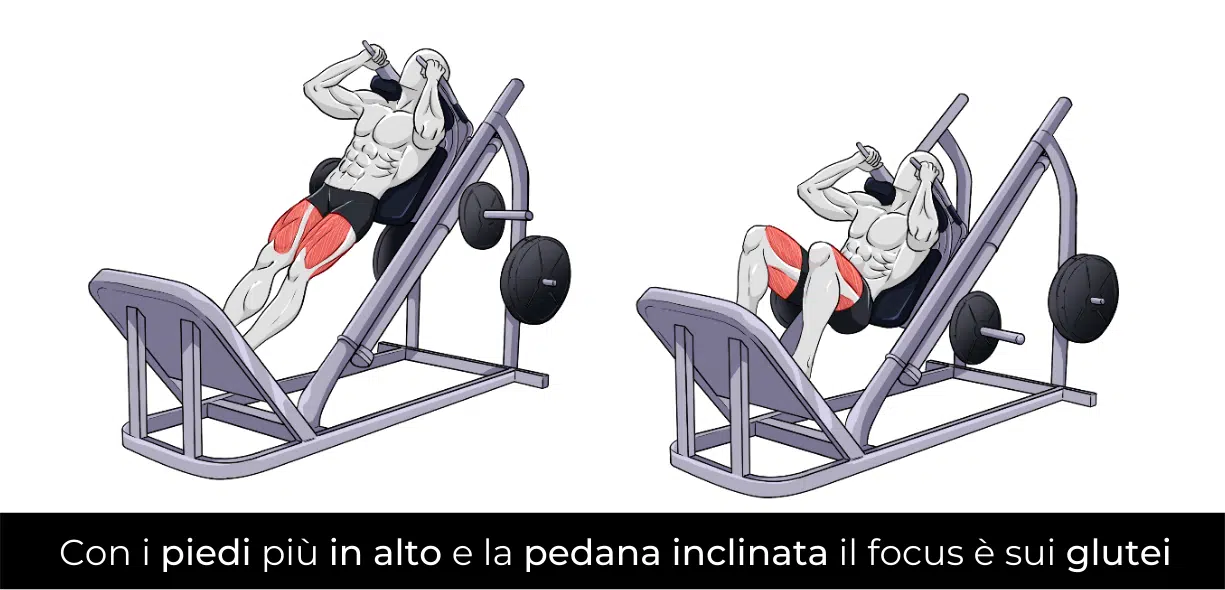 hack squat