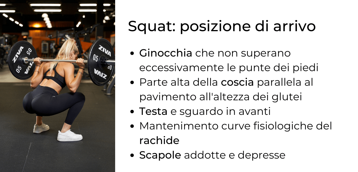 posizione di arrivo nello squat