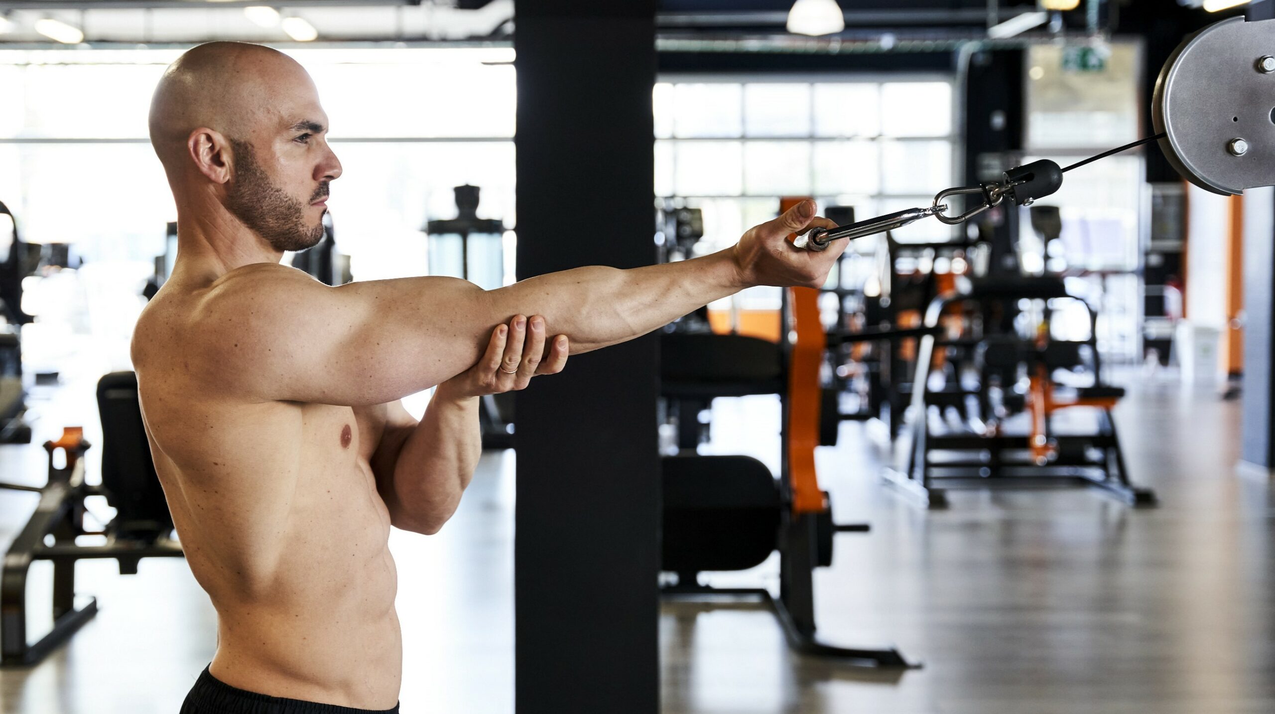 stripping bodybuilding in palestra