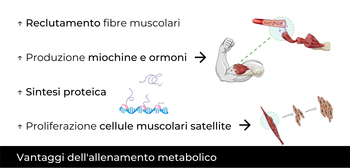 allenamento metabolico bodybuilding